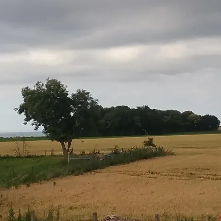 B2 * Bazenville
